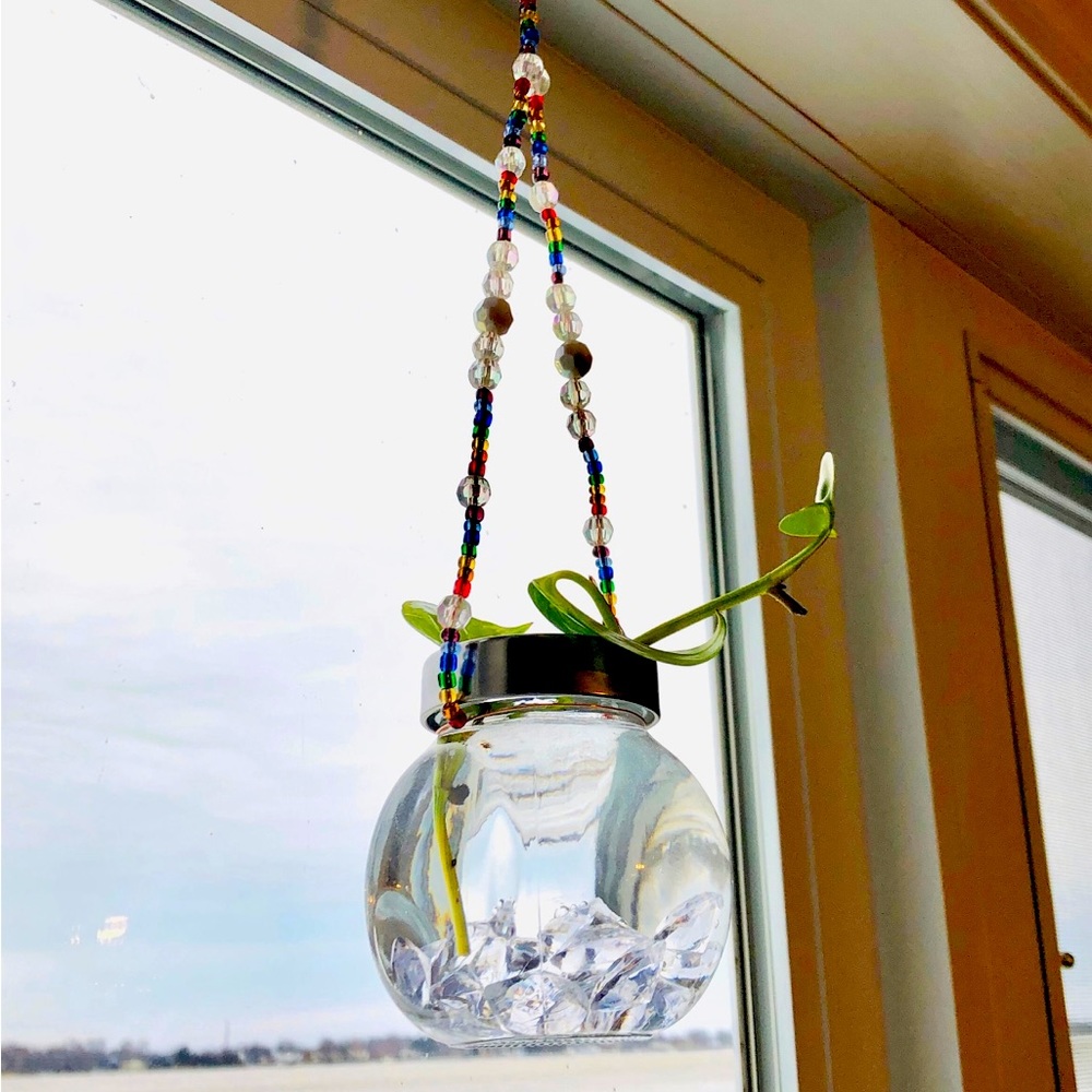 🌈New Handmade True Colours - Beaded Hydroponic Planter🌱